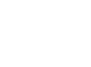 All-Ohio Insurance, LLC - Logo Icon White